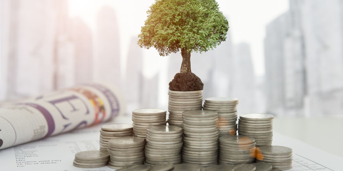 How Independent Wealth Advice Helps Investors Make Better Long-Term Decisions